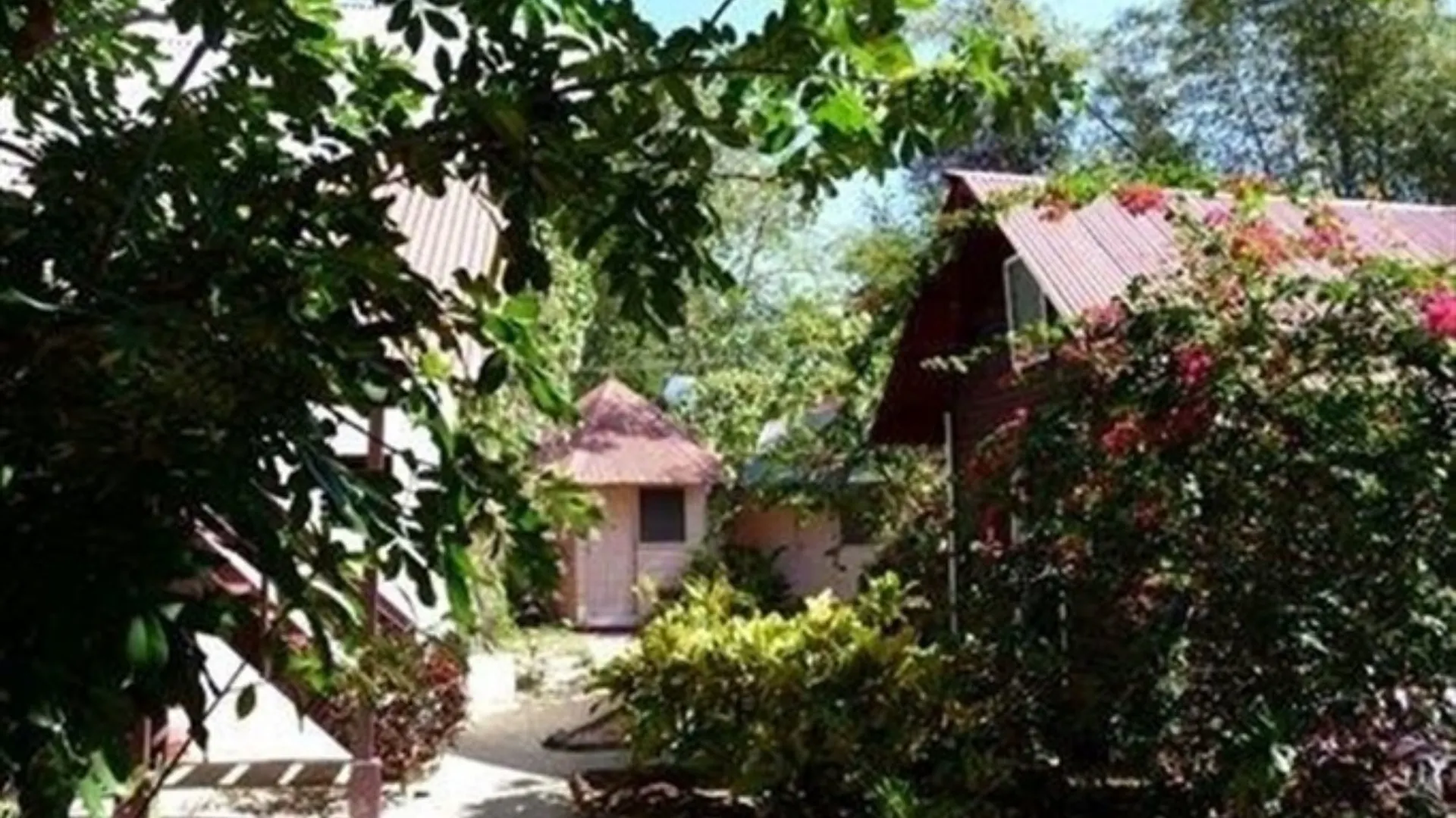 Hotel The Negril Yoga Centre 2*,  Jamaika